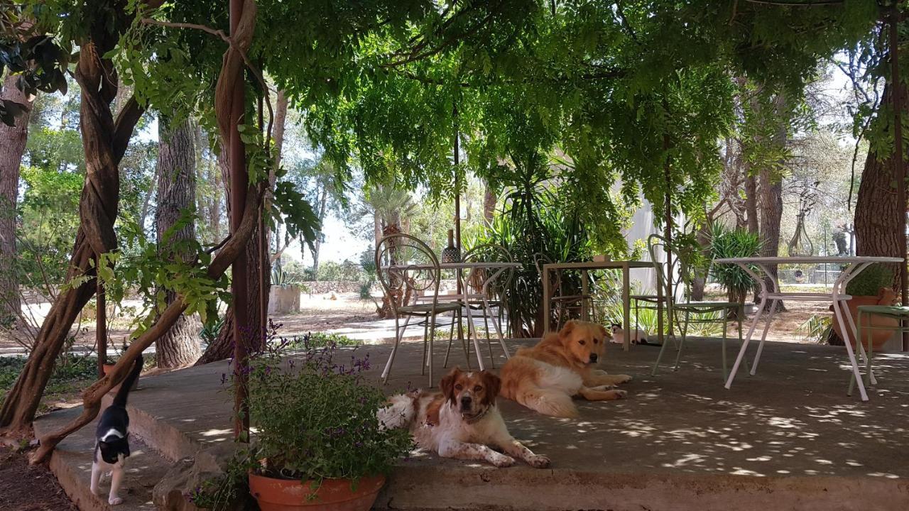 Petra - Country House Monteroni di Lecce Exterior foto